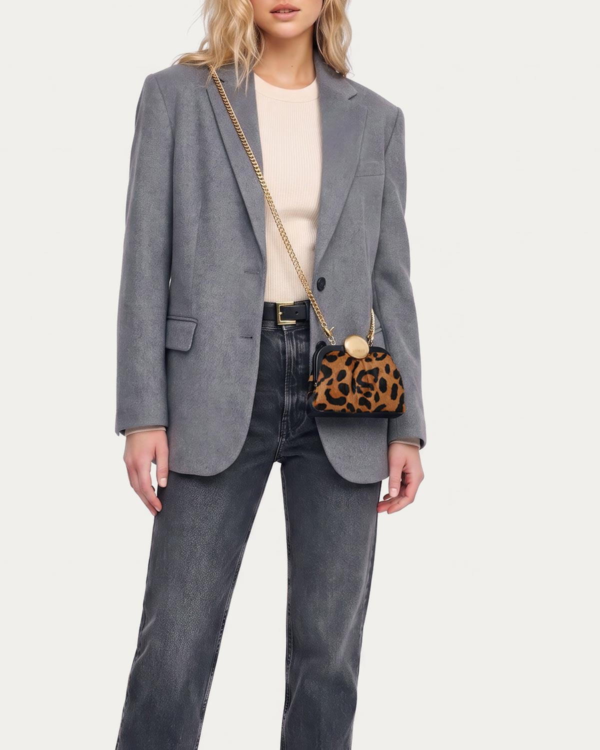 Full Circle Micro Frame Chain Crossbody