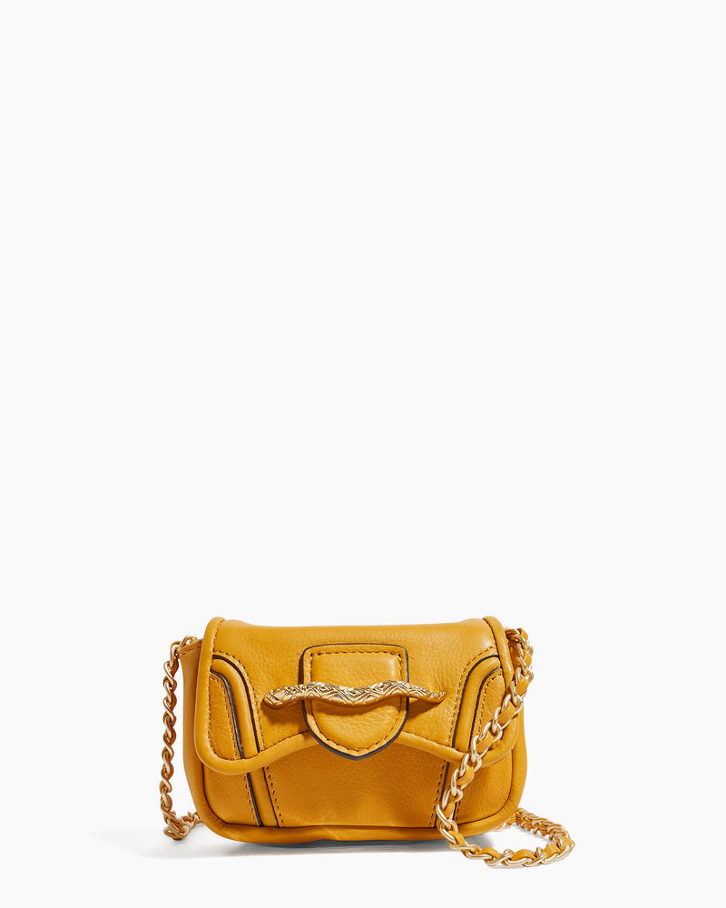 Fierce & Fab Mini Crossbody- front